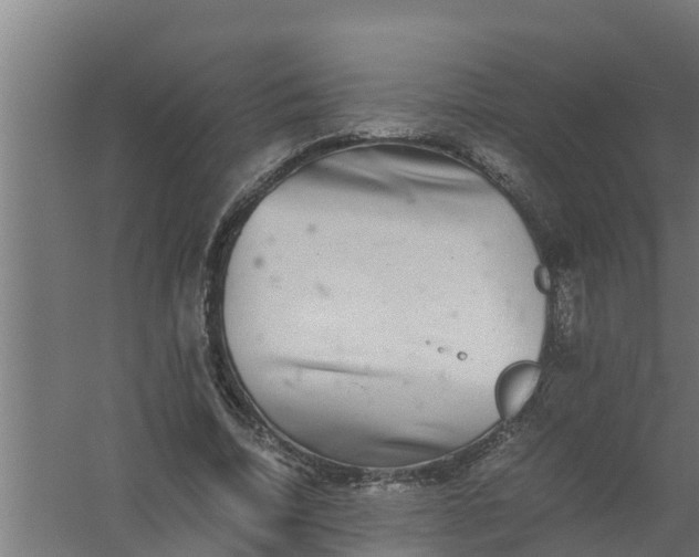 X0000059800730200511041626