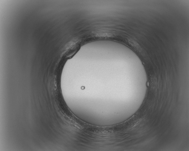 X0000059800731200511041626