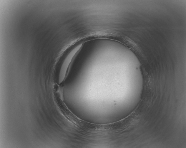 X0000059800732200511041626