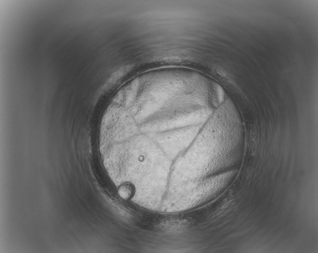 X0000059800734200511041626