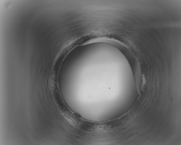 X0000059800736200511041626