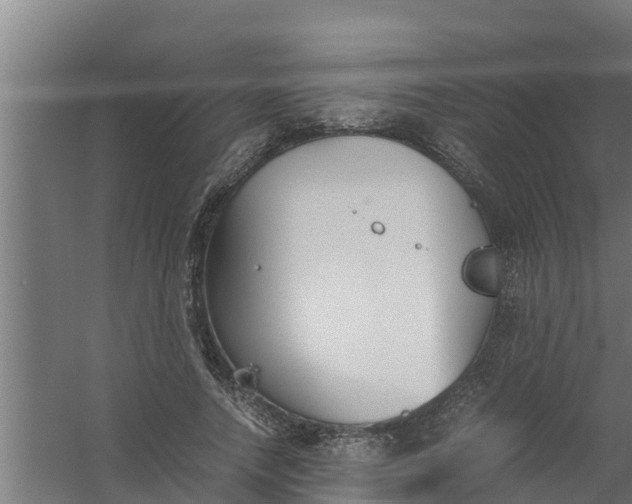 X0000059800738200511041626