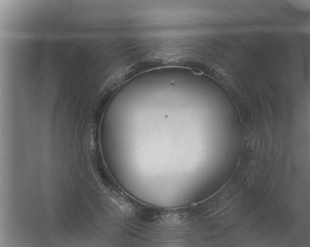 X0000059800740200511041626