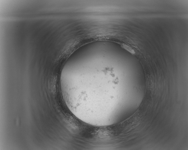 X0000059800742200511041626