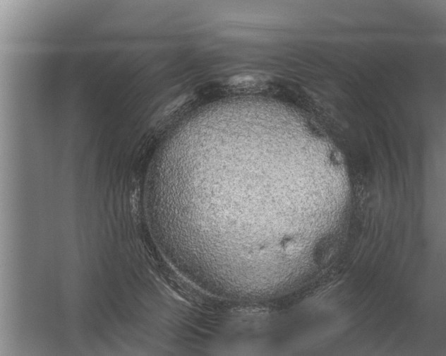 X0000059800745200511041627