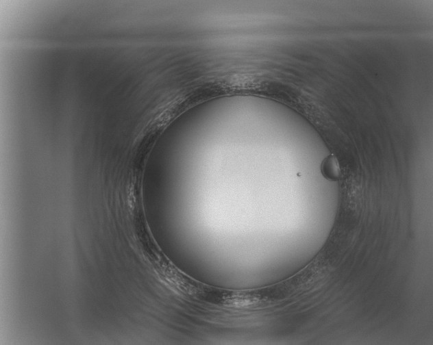 X0000059800746200511041627