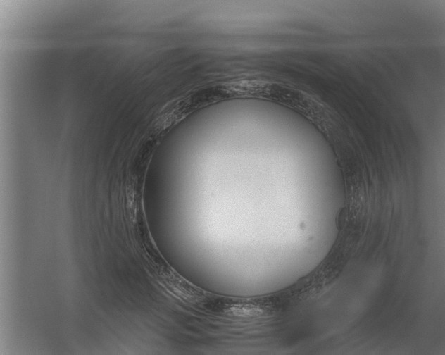 X0000059800749200511041627