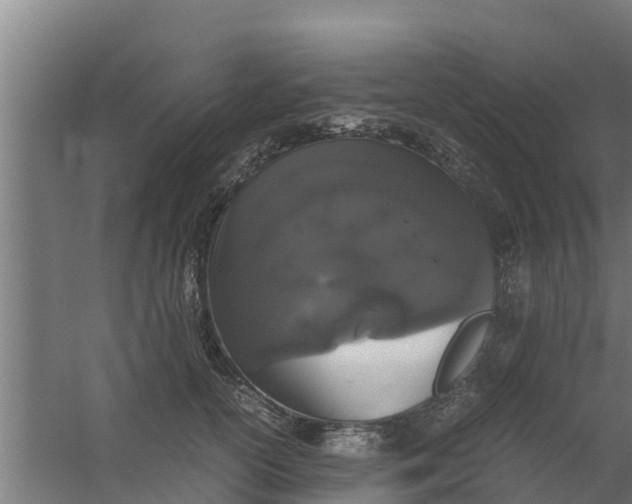 X0000059800754200511041627