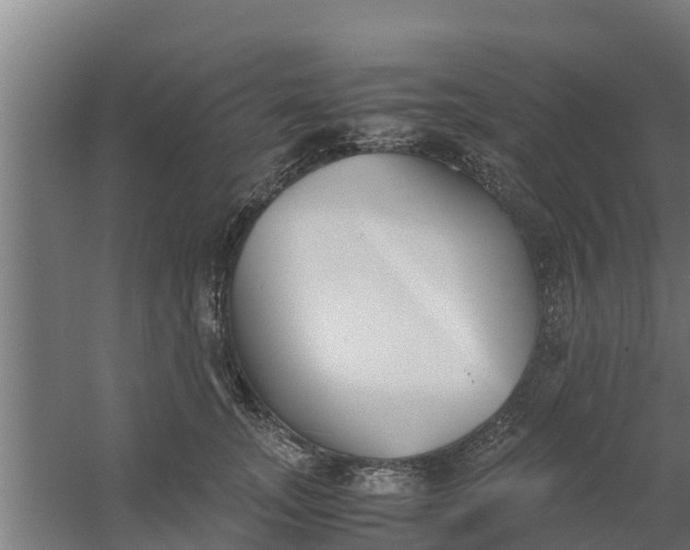 X0000059800755200511041627