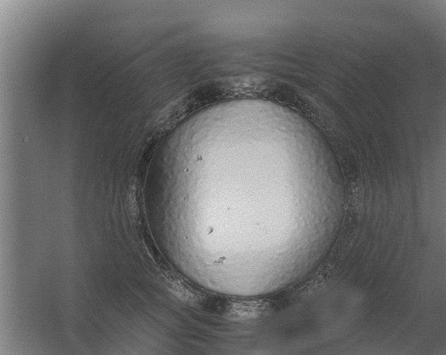 X0000059800757200511041627