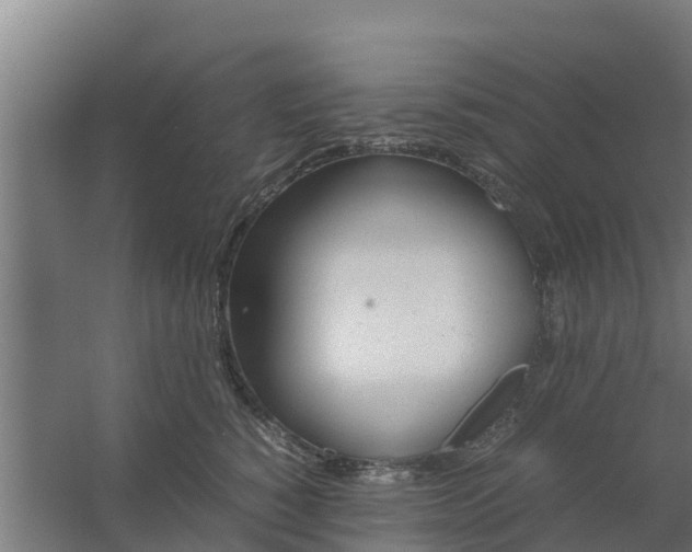 X0000059800760200511041627