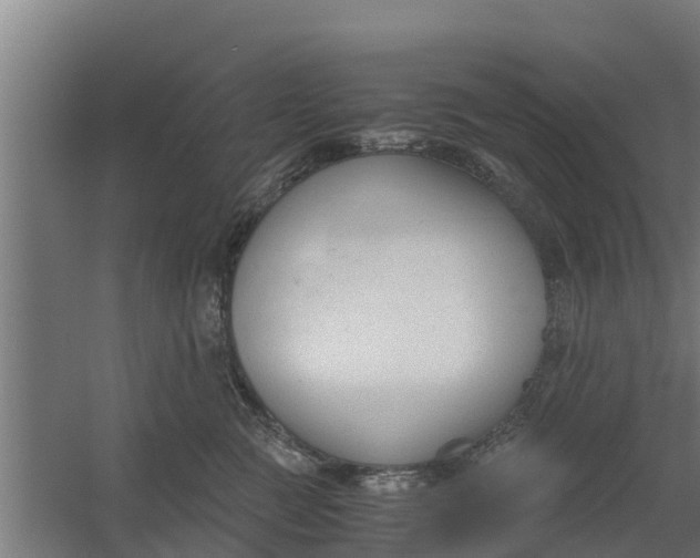 X0000059800761200511041627