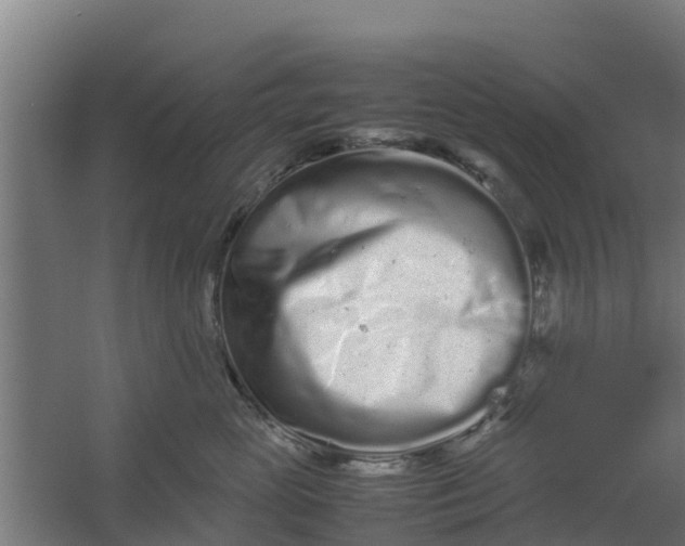 X0000059800765200511041627