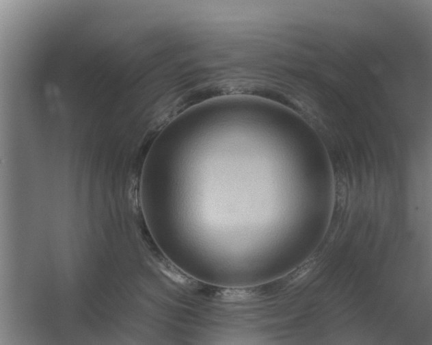 X0000059800766200511041627