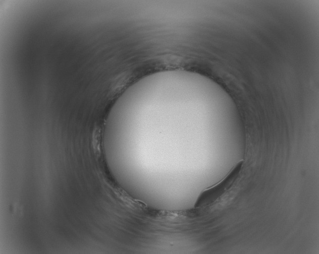 X0000059800768200511041627