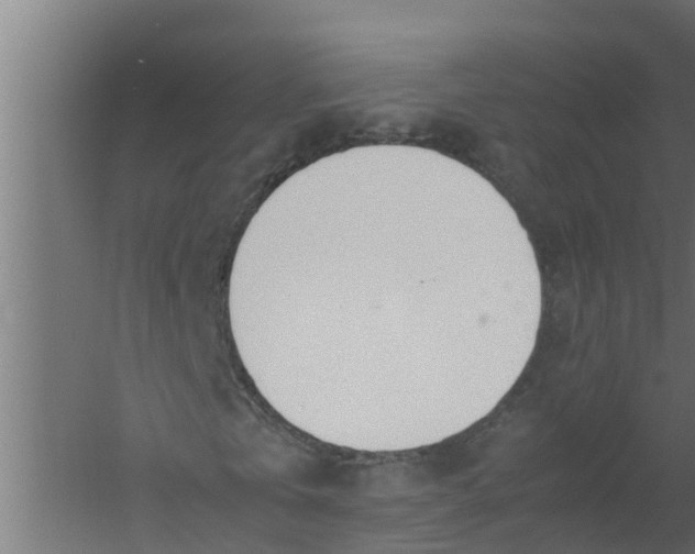 X0000059800769200511041626