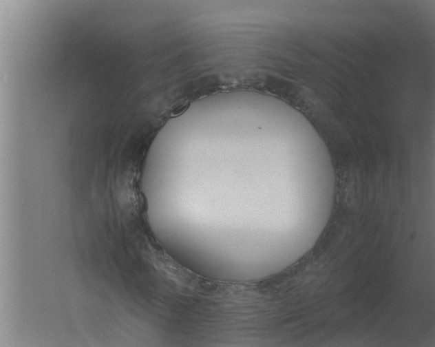 X0000059800770200511041626