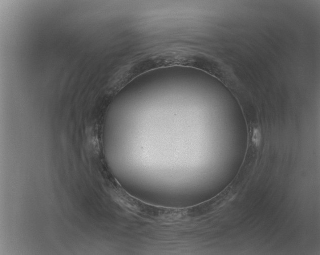 X0000059800771200511041626