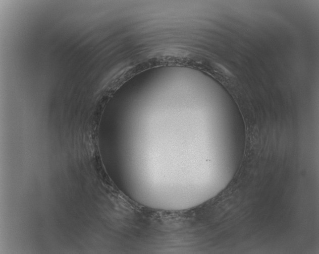 X0000059800774200511041626