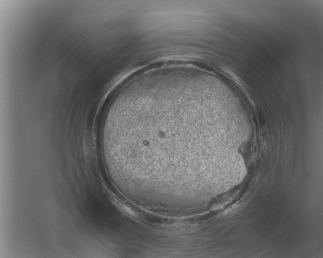 X0000059800779200511041626