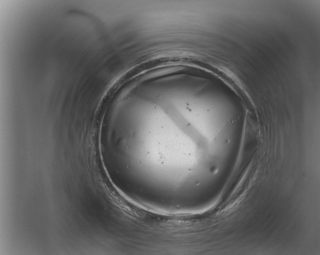 X0000059800783200511041626