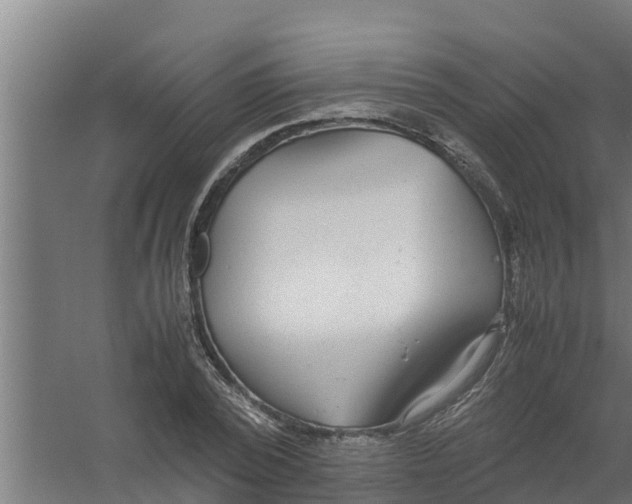 X0000059800784200511041626