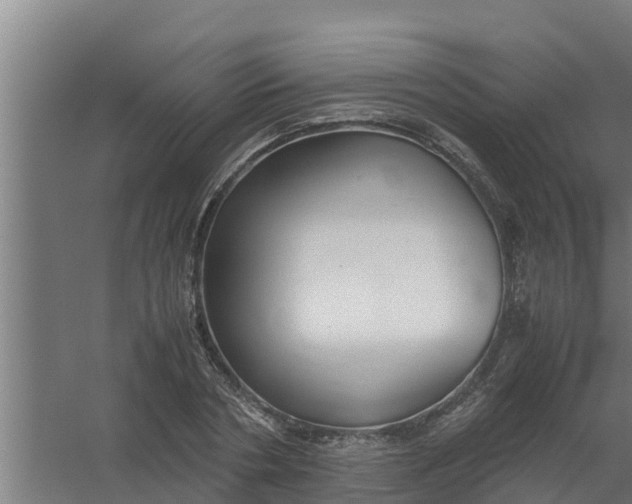 X0000059800786200511041626