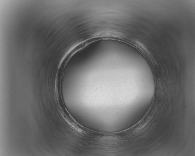 X0000059800788200511041626