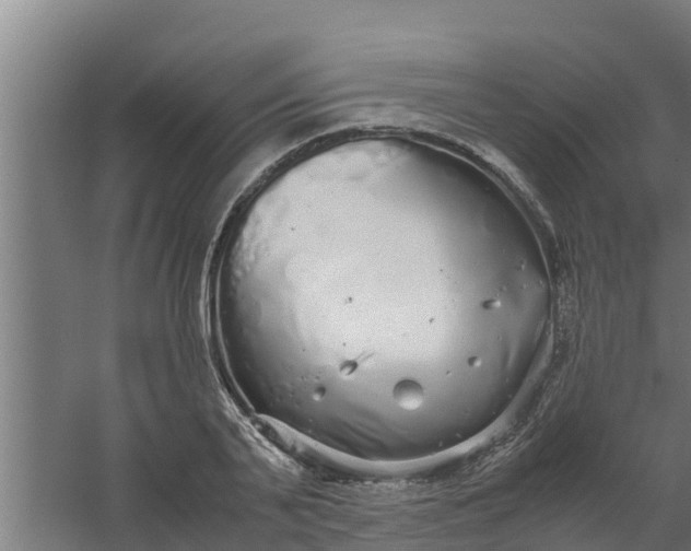 X0000059800791200511041626