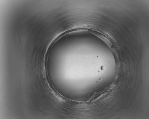 X0000059800792200511041626