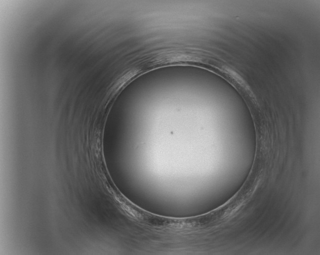 X0000059800793200511041626