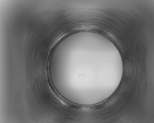 X0000059800794200511041626