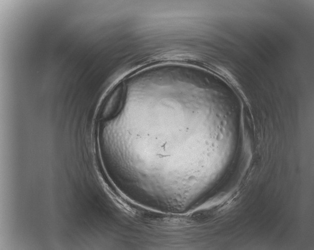 X0000059800795200511041626