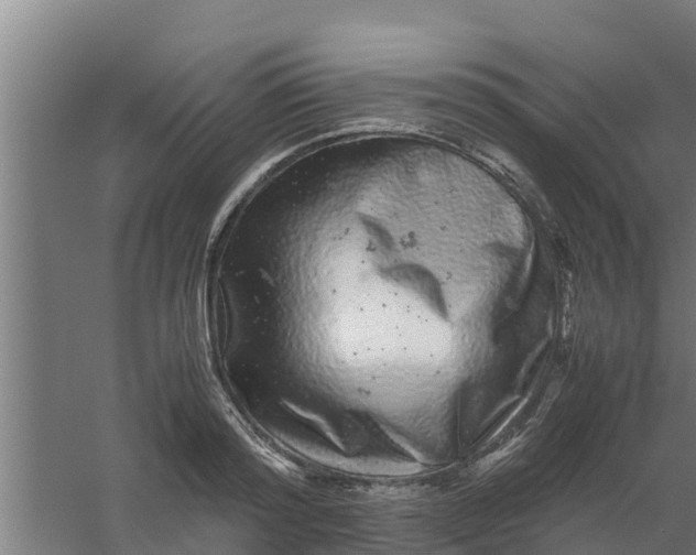 X0000059800796200511041626