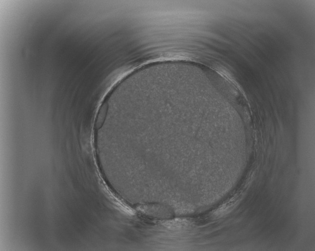 X0000059800797200511041626