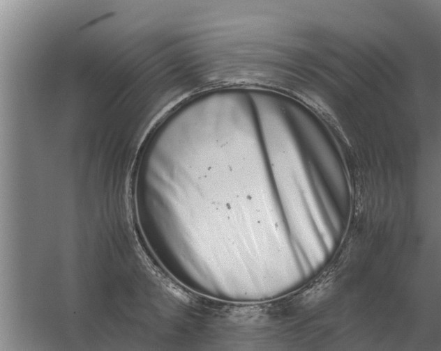 X0000059800798200511041626