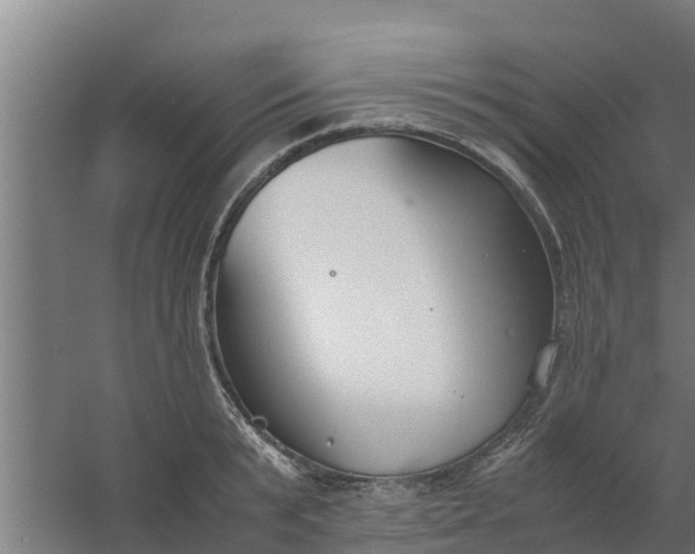 X0000059800799200511041626