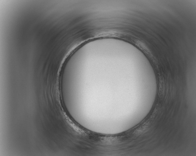 X0000059800800200511041626