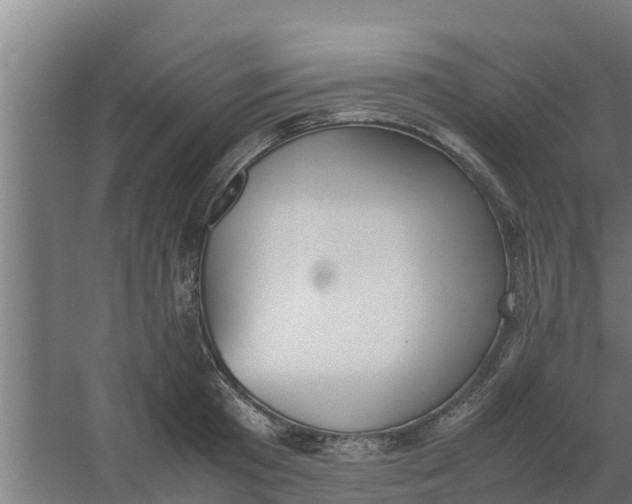 X0000059800801200511041626