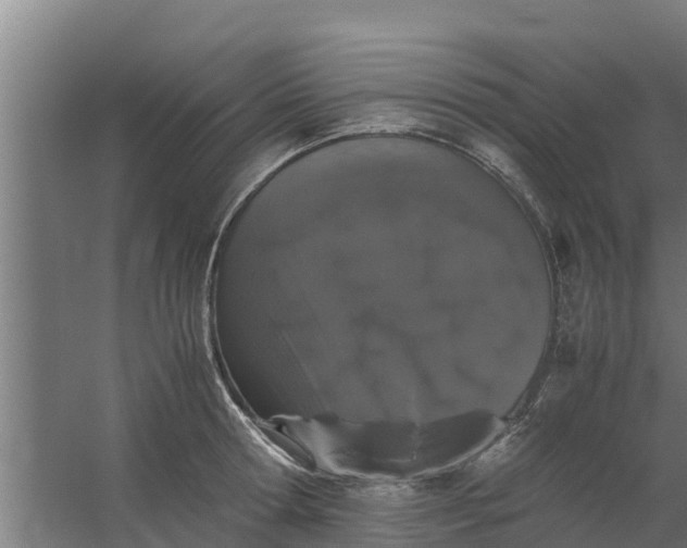 X0000059800802200511041626