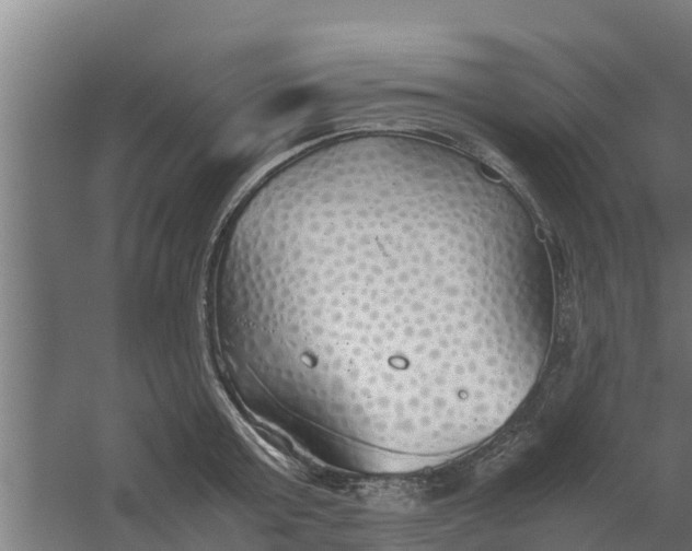 X0000059800803200511041626