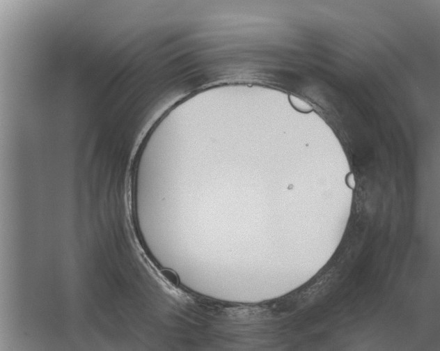 X0000059800804200511041625