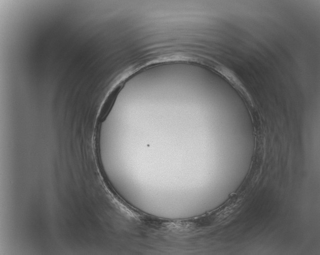 X0000059800805200511041625