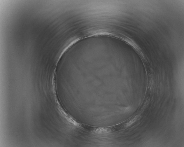 X0000059800806200511041625