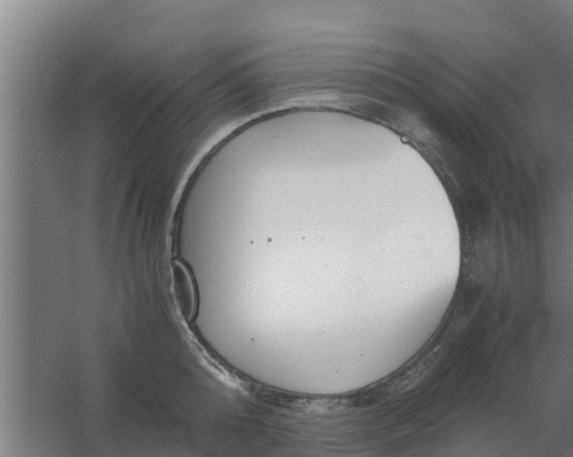 X0000059800808200511041625