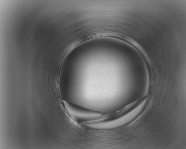 X0000059800809200511041625