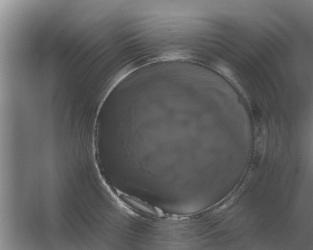 X0000059800810200511041625