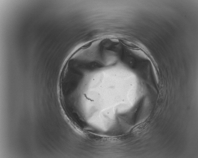 X0000059800811200511041625