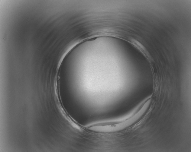 X0000059800812200511041625