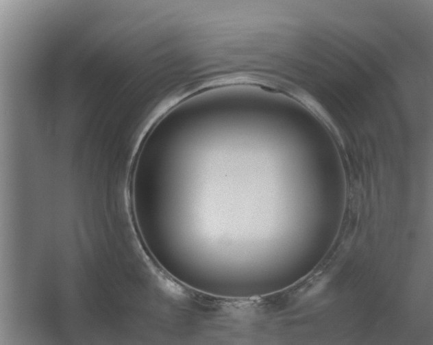 X0000059800813200511041625